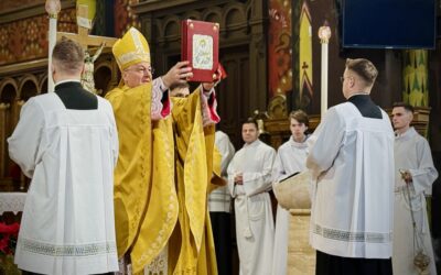 Katedra: Uroczystość Narodzenia Pańskiego