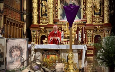 Słuchać aż&nbsp;do&nbsp;końca – Niedziela Palmowa w&nbsp;katedrze sosnowieckiej